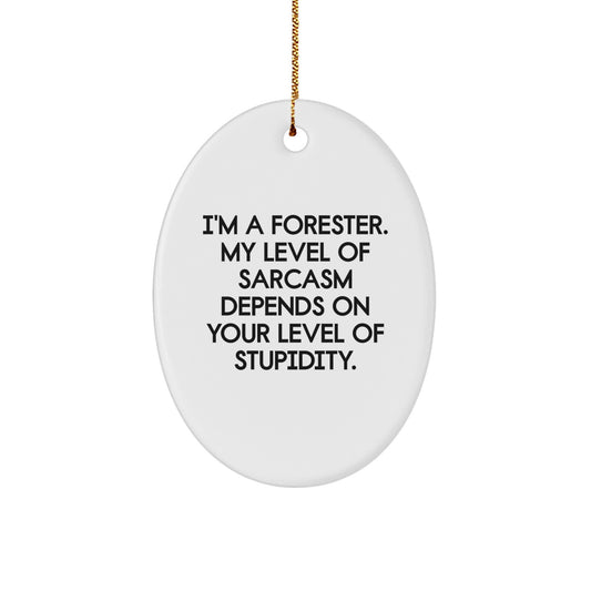 Funny Christmas Unique Gifts from Friends for Forester, Oval Ornament with Sarcasm Humor, White - Image 1