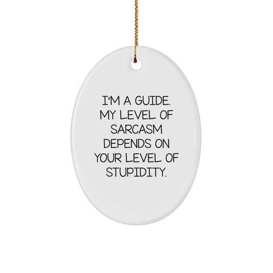 Funny Guide Oval Ornament Gifts from Men for Guide - I'm A Guide, My Level Of Sarcasm Depends On Your Level Of Stupidity. Christmas Unique Gifts - Image 1