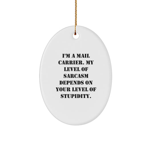 Funny Mail Carrier Oval Ornament, Gifts for Mail Carrier from Friends, Christmas Unique Decorations with Sarcasm Quote - Image 1