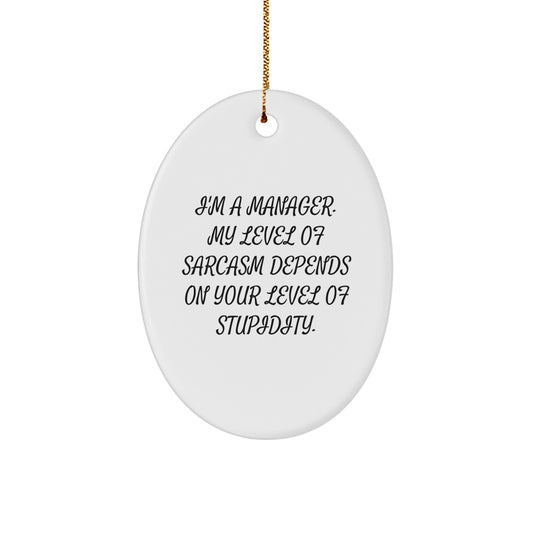 Funny Manager Christmas Unique Gifts from Friends and Family for Managers - Oval Ornament, 'I'm A Manager. My Level Of Sarcasm Depends On Your Level Of Stupidity.' - Image 1