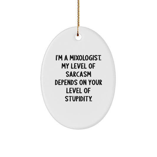 Mixologist Gifts for Men - Oval Ornament with Funny Sarcasm Quote for Christmas, Gifts from Friends - Image 1