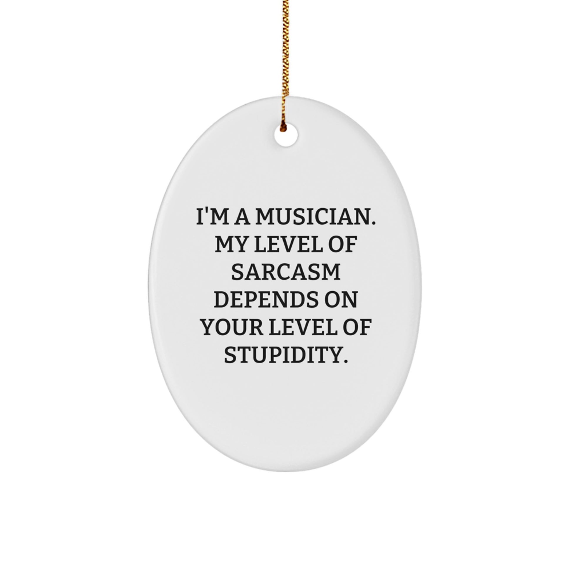 Funny Musician Gifts from Friends - Oval Ornament with Sarcasm Quote, Christmas Unique Presents for Musicians - Image 1