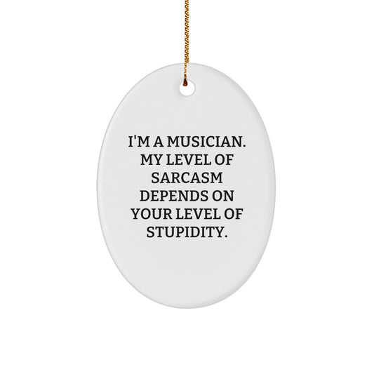 Funny Musician Gifts from Friends - Oval Ornament with Sarcasm Quote, Christmas Unique Presents for Musicians - Image 1