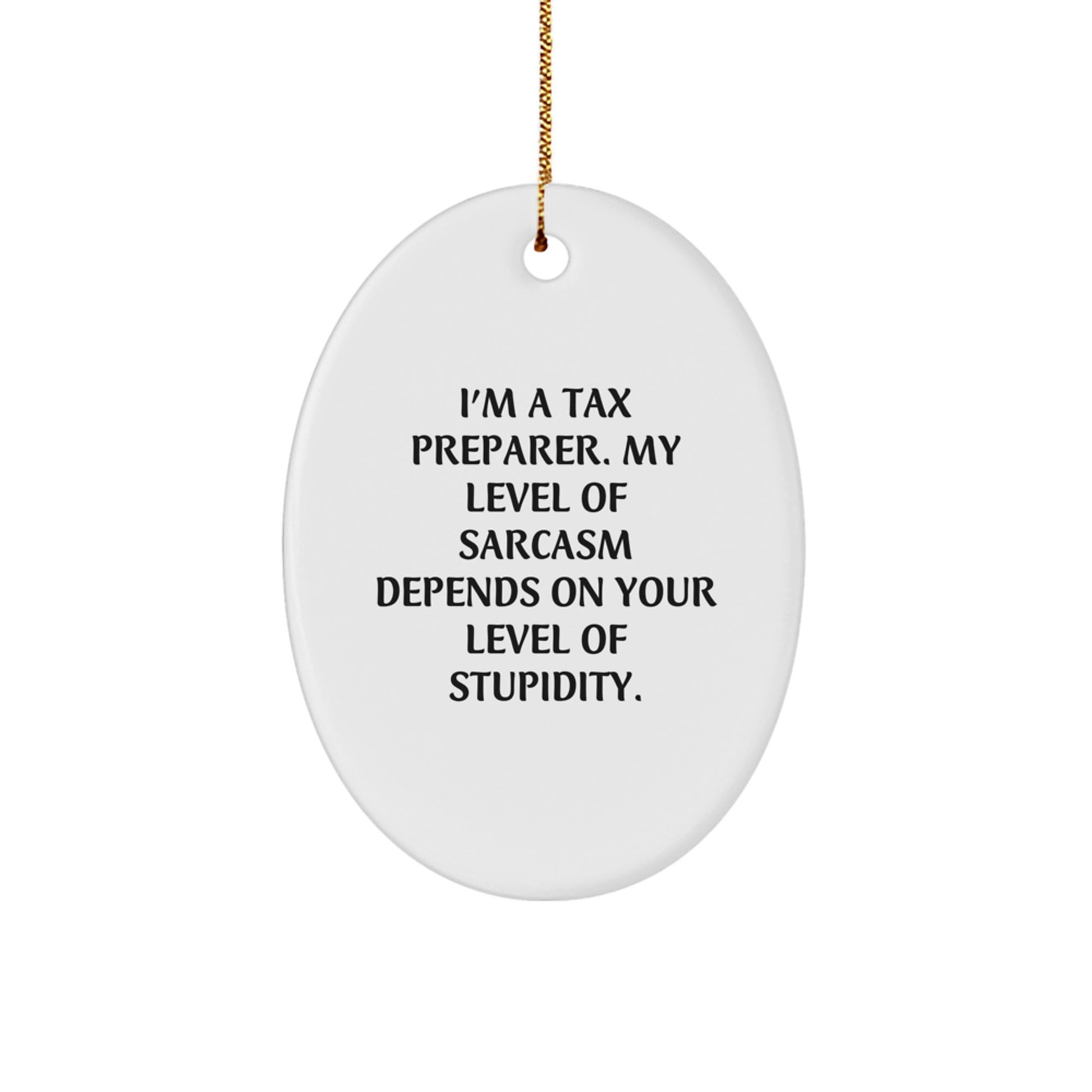 Funny Tax Preparer Oval Ornament Gifts from Friends, Coworkers, or Family for Christmas Unique Decorations - Image 1
