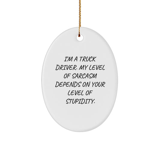 Funny Truck Driver Christmas Unique Gifts from Family to Truck Driver Men Oval Ornament - I'm A Truck Driver, My Level Of Sarcasm Depends On Your Level Of Stupidity - Image 1