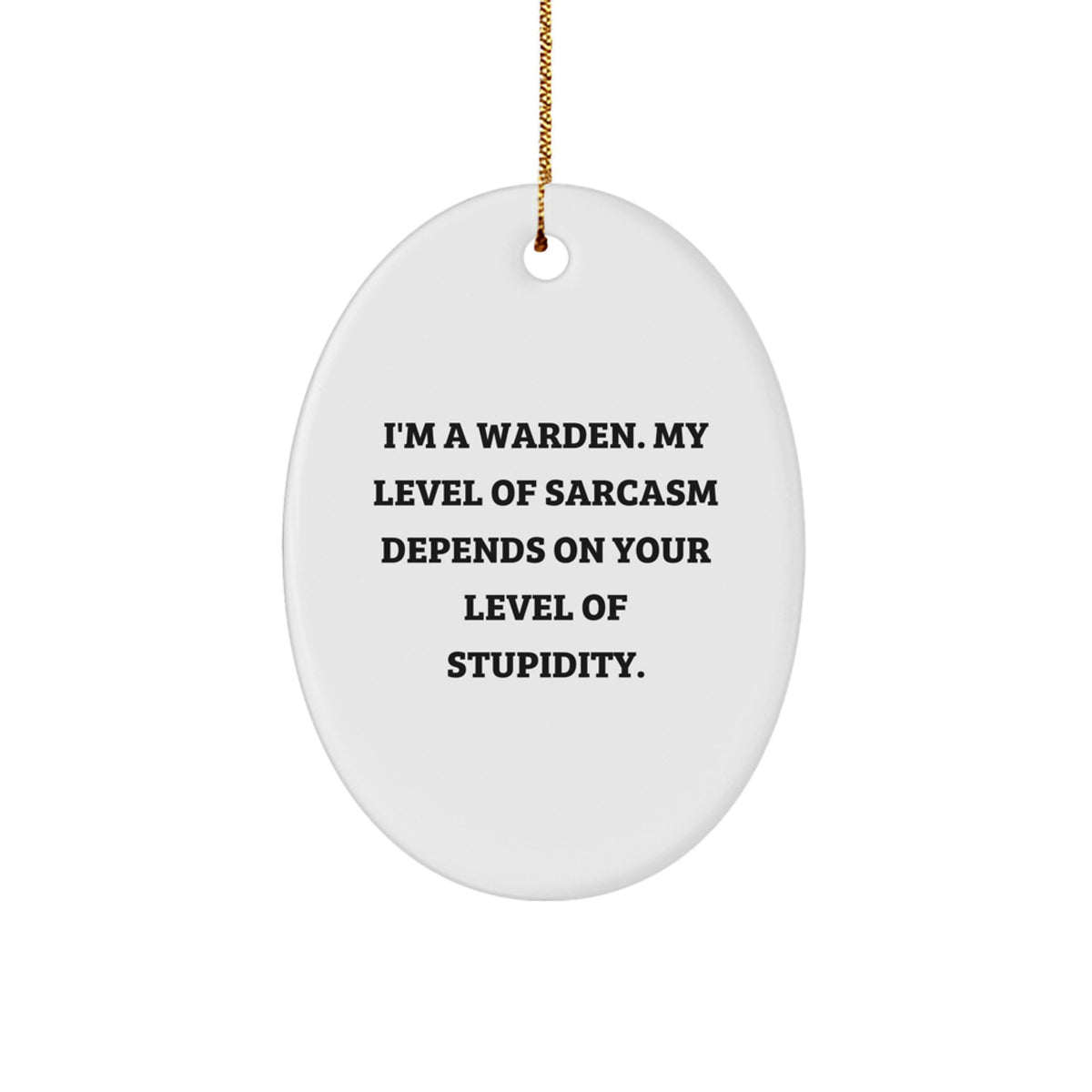 Warden Christmas Ornament Keepsake for Him Surprise Holiday Gift - Image 1