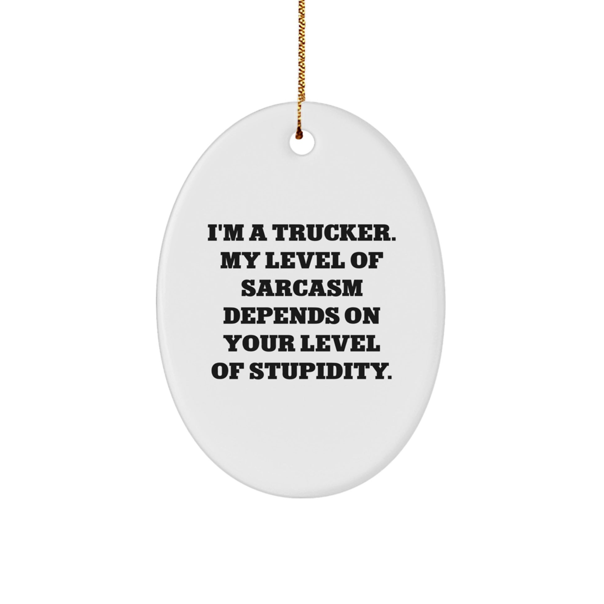 Funny Trucker Gifts from Men for Christmas Unique Oval Ornaments - I'm A Trucker Gifts for Truckers - Image 1