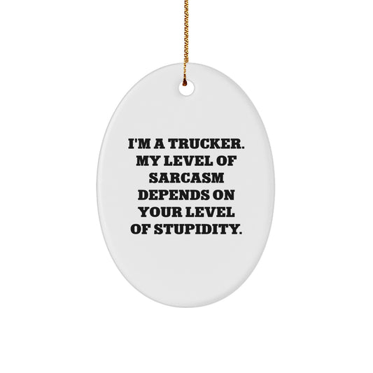 Funny Trucker Gifts from Men for Christmas Unique Oval Ornaments - I'm A Trucker Gifts for Truckers - Image 1