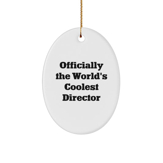 Coolest Director Oval Ornament Gifts from Friends for Director - Image 1