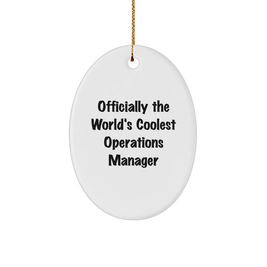 Funny Operations Manager Gifts - Oval Ornament for Christmas Unique Gifts from Friends, Coworkers, or Family - Inspirational Quote for Men, Women, or Operations Manager - Image 1