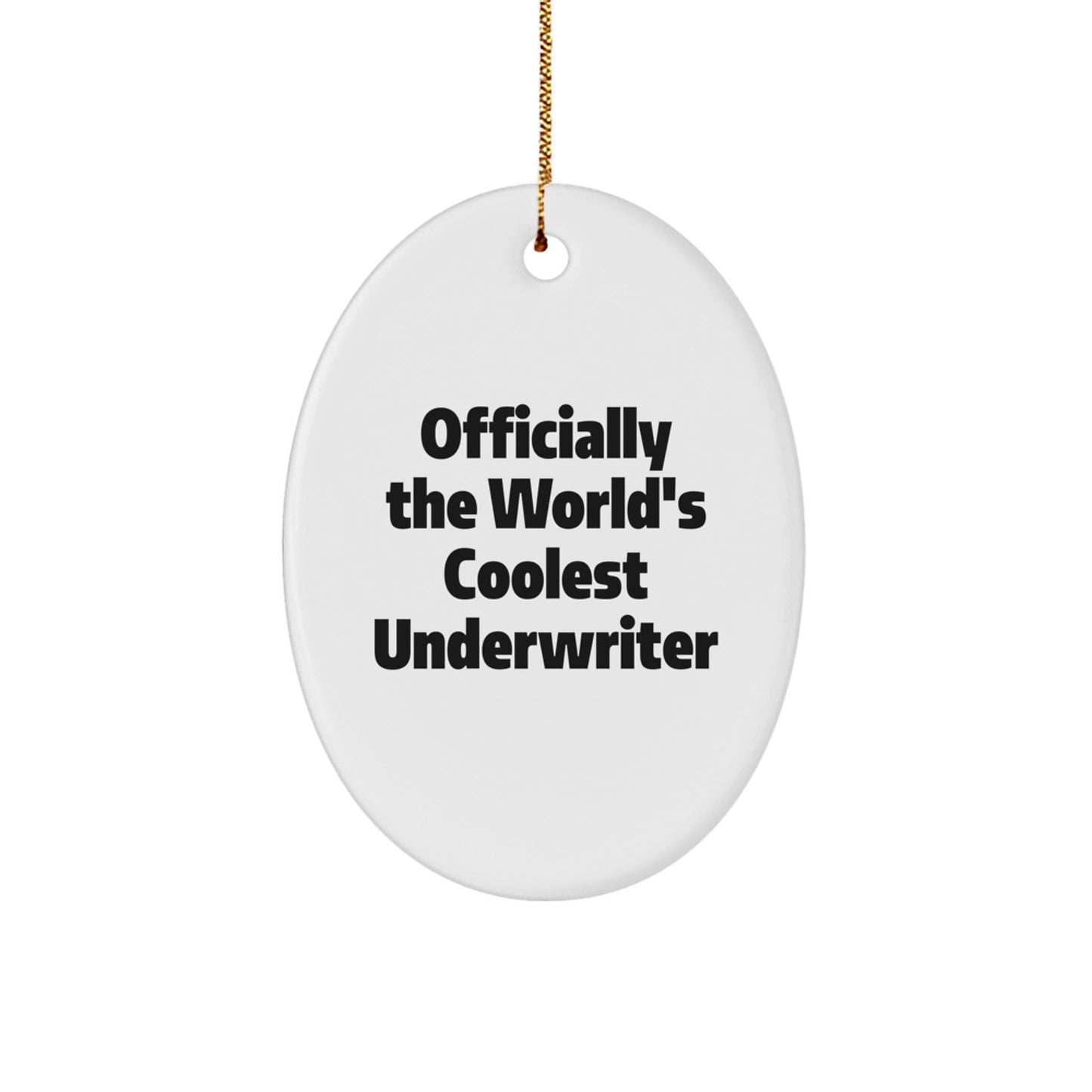 Funny Underwriter Oval Ornaments Gifts from Friends to Underwriter for Christmas Unique Decorations - Image 1
