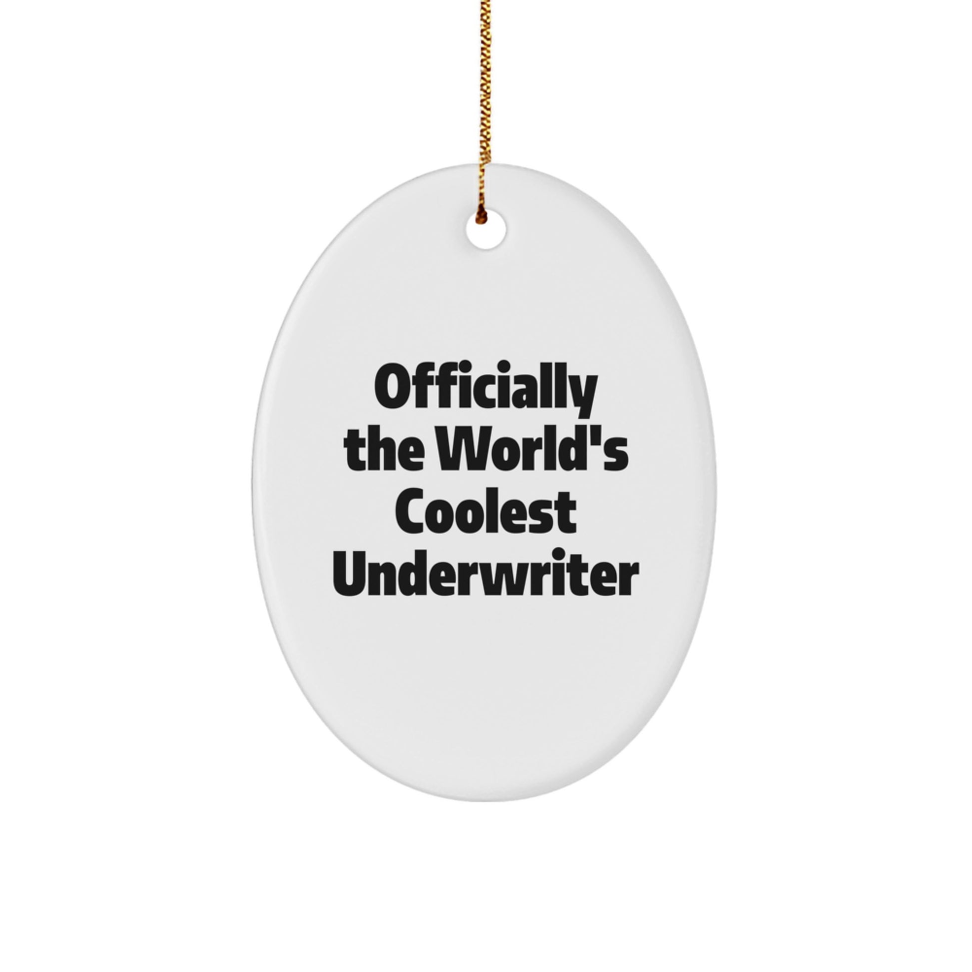 Funny Underwriter Oval Ornaments Gifts from Friends to Underwriter for Christmas Unique Decorations - Image 1