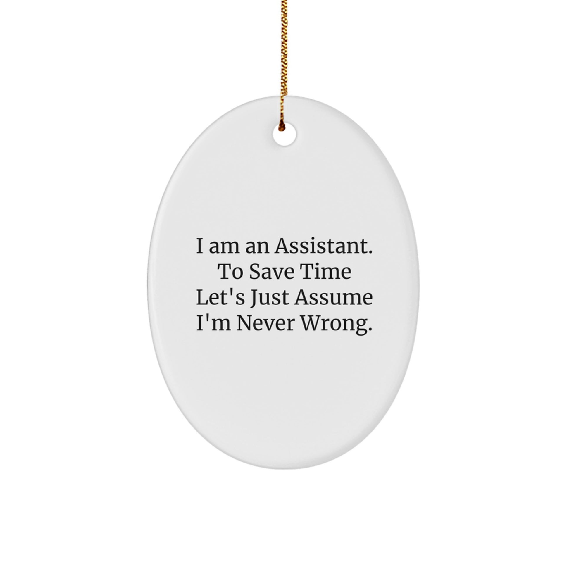 Funny Assistant Oval Ornament Gifts from Men to Coworkers for Christmas Unique Presents - Image 1