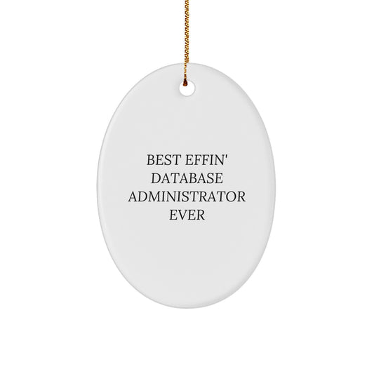 Funny Database Administrator Gifts from Friends, Best Effin' Database Administrator Oval Ornament, Perfect Christmas Unique Gift for Database Administrator Women - Image 1