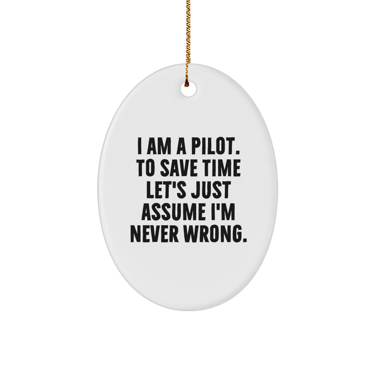 Pilot Keepsake Oval Ornament for Him Christmas Gift - Image 1