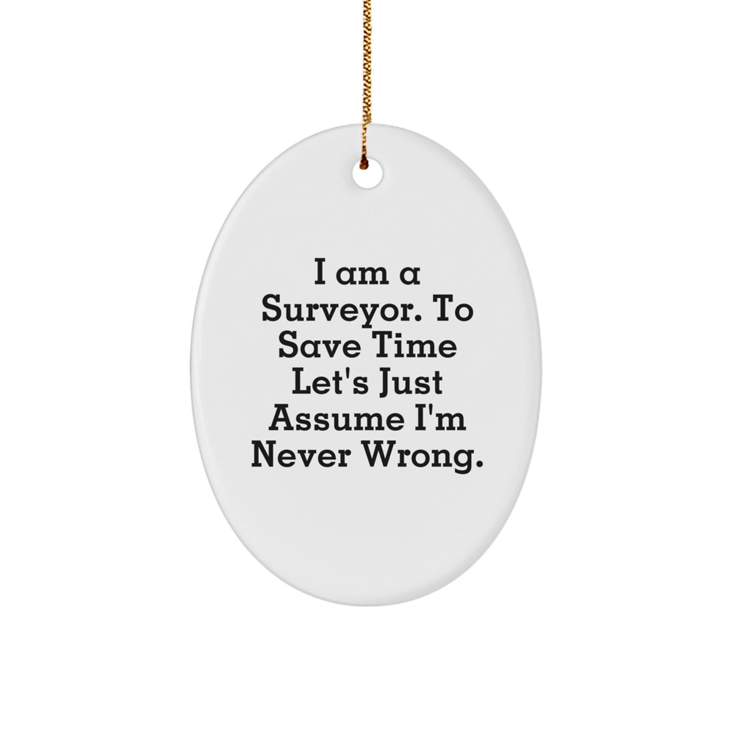 Funny Surveyor Gift for Men, Oval Ornament with Humorous Quote, Unique Christmas Memorable Presents from Friends and Family - Image 1