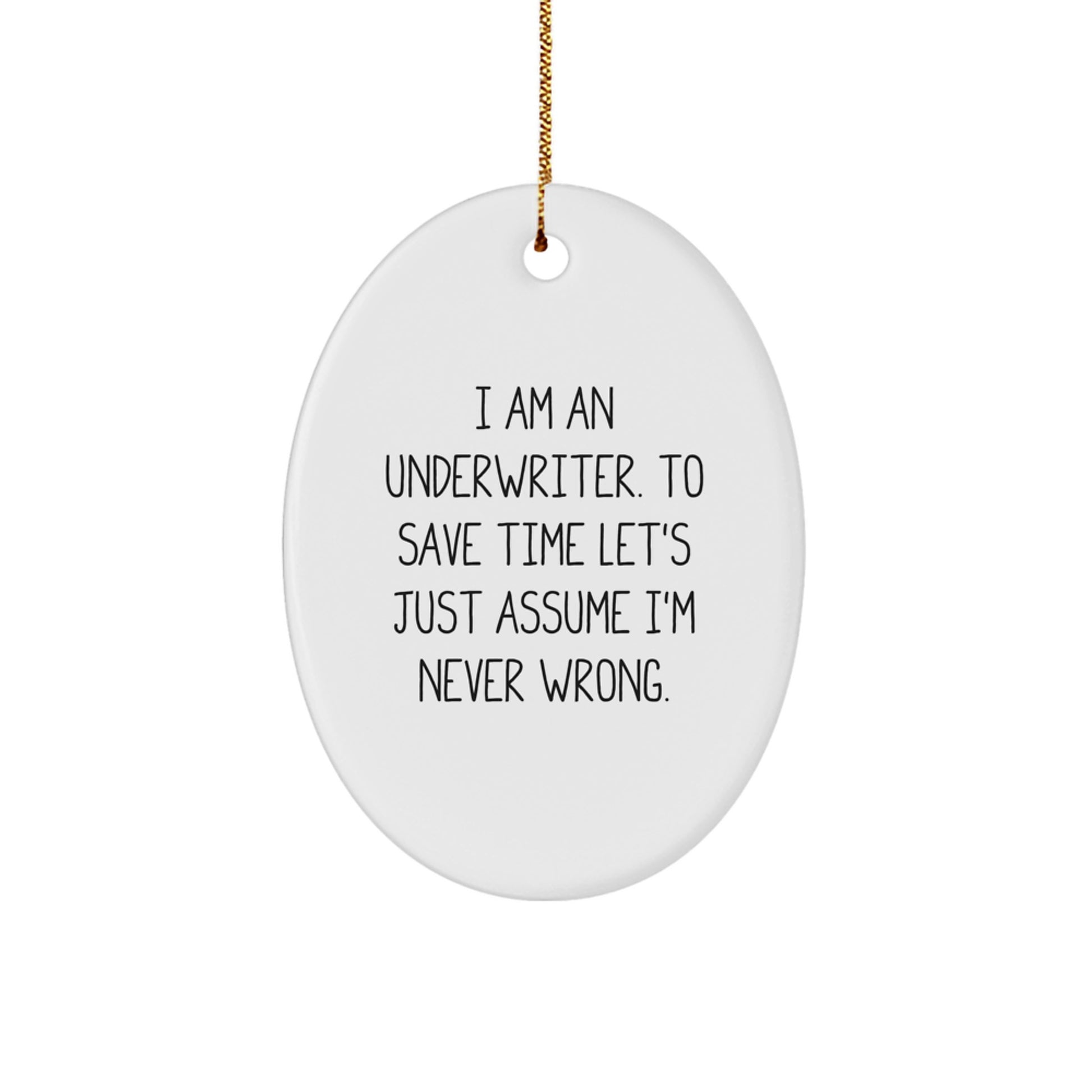Funny Underwriter Oval Ornament, Gifts from Friends for Underwriter, Christmas Unique Gifts, Oval Shaped Decorative - Image 1