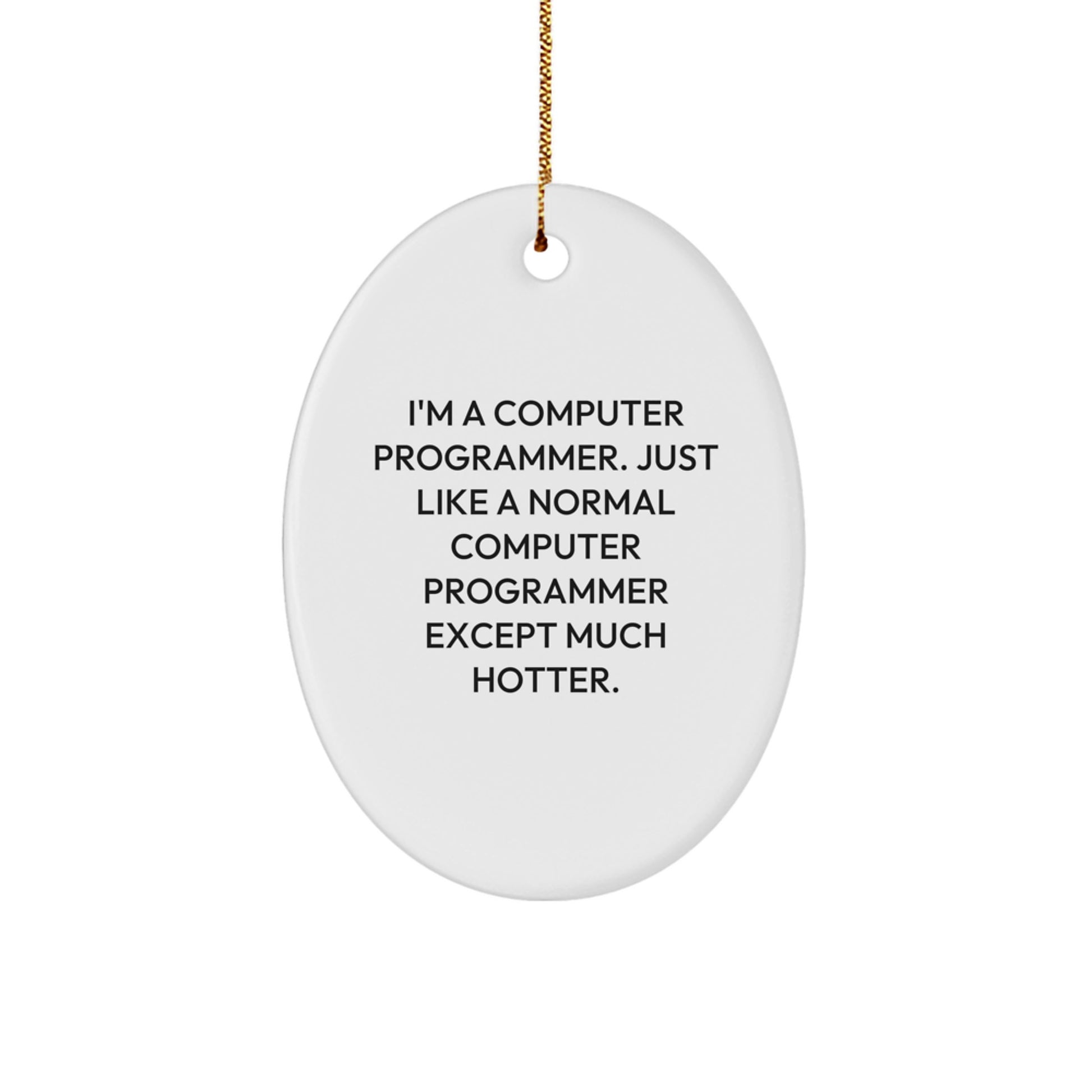 Funny Computer Programmer Oval Ornament - Gifts for Friends, Coworkers, Family from Men - Unique Christmas Decorations - Image 1
