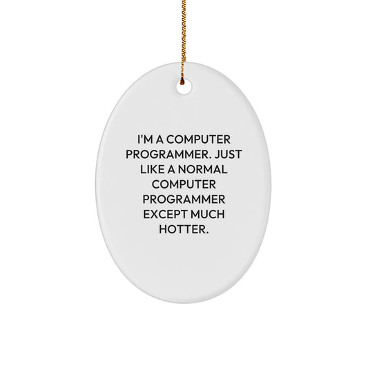 Funny Computer Programmer Oval Ornament - Gifts for Friends, Coworkers, Family from Men - Unique Christmas Decorations - Image 1