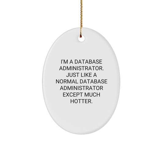 Funny Database Administrator Oval Ornament Gifts for Men Friends Family - Christmas Unique Presents from Women - Image 1