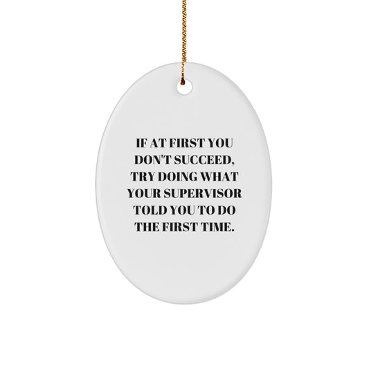 Funny Supervisor Christmas Unique Gifts from Friends and Family, Oval Ornament, If You Don't Succeed Try Doing What Your Supervisor Said First Time - Image 1