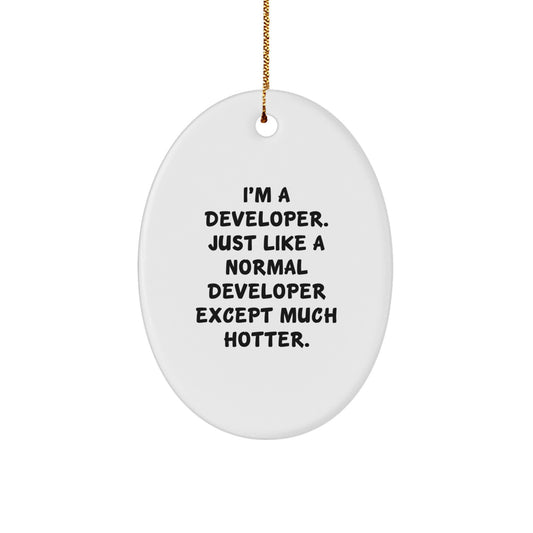 Funny Developer Gifts for Him, Oval Ornament with Sublimation Printing, Gifts from Men to Friends, Christmas Unique Gifts for Developer - Image 1