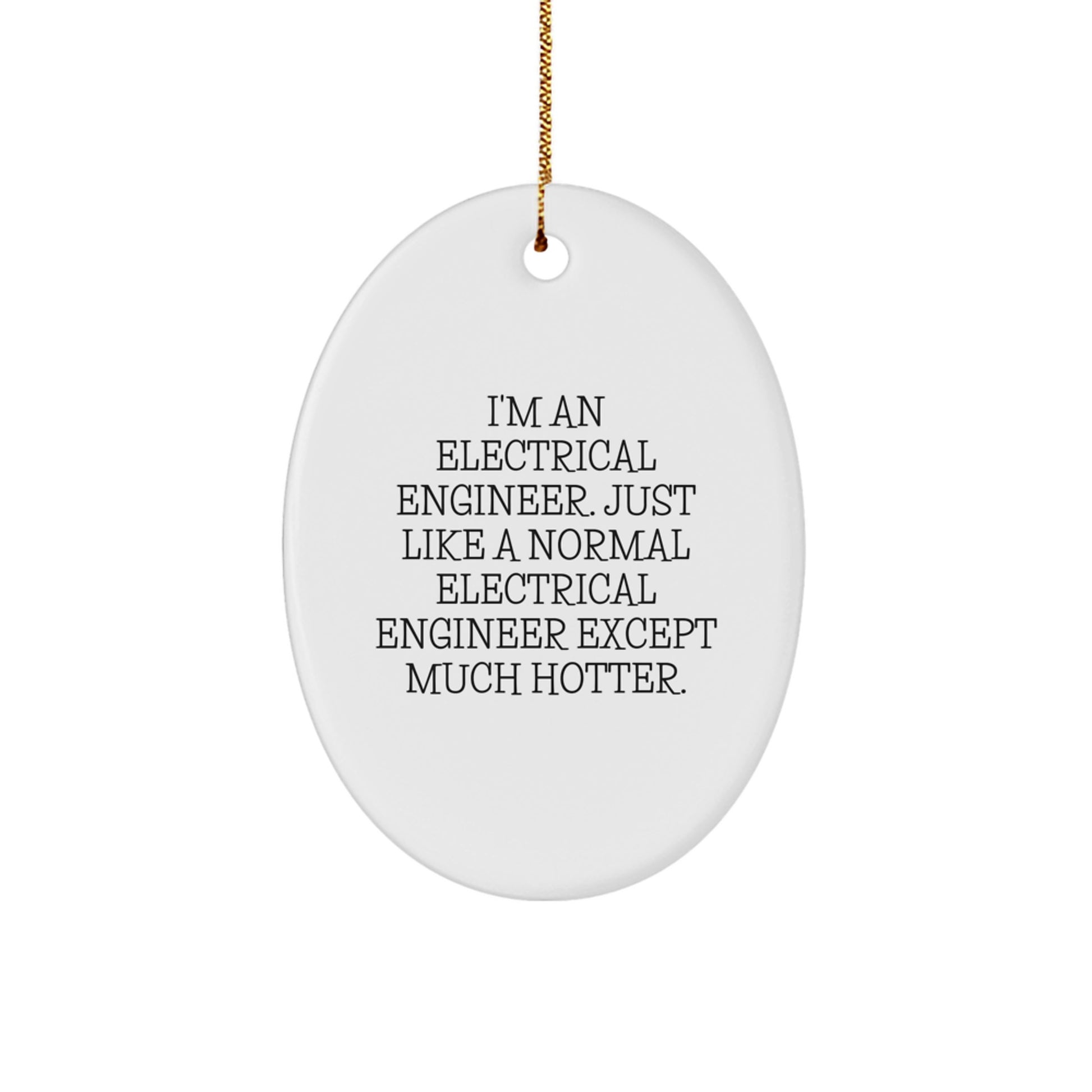 Electrical Engineer Oval Ornament, Funny Quote Gifts for Electrical Engineers, Funny Christmas Unique Gifts from Friends to Electrical Engineer Men or Women - Image 1