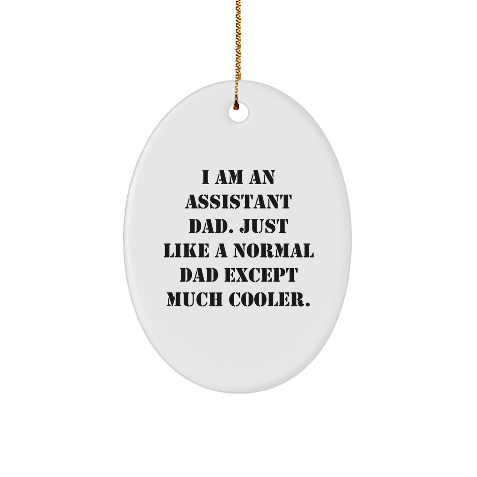 Funny Assistant Dad Oval Ornament Gifts from Men, Gifts for Men Assistant, Unique Christmas Unique Gifts - Image 1