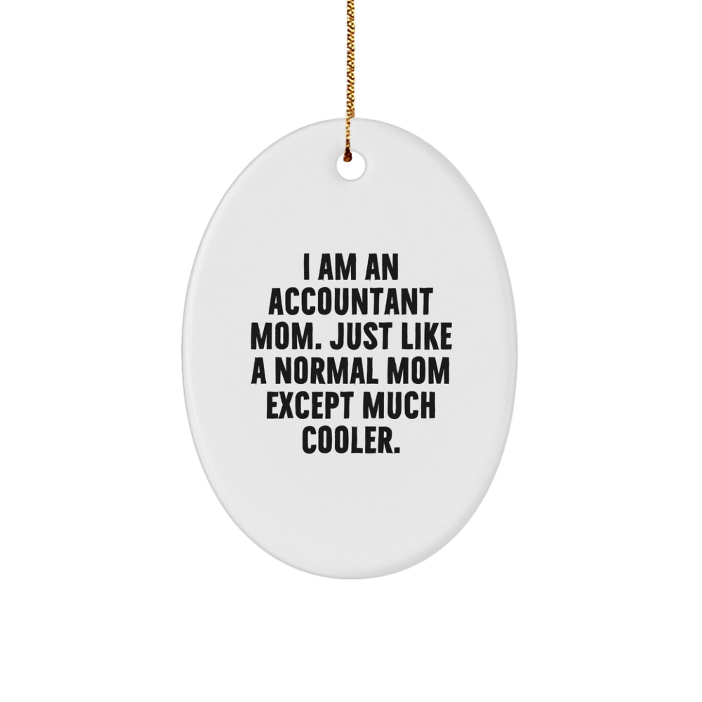 Accountant Christmas Ornament Idea for Coworkers Gift - Image 1