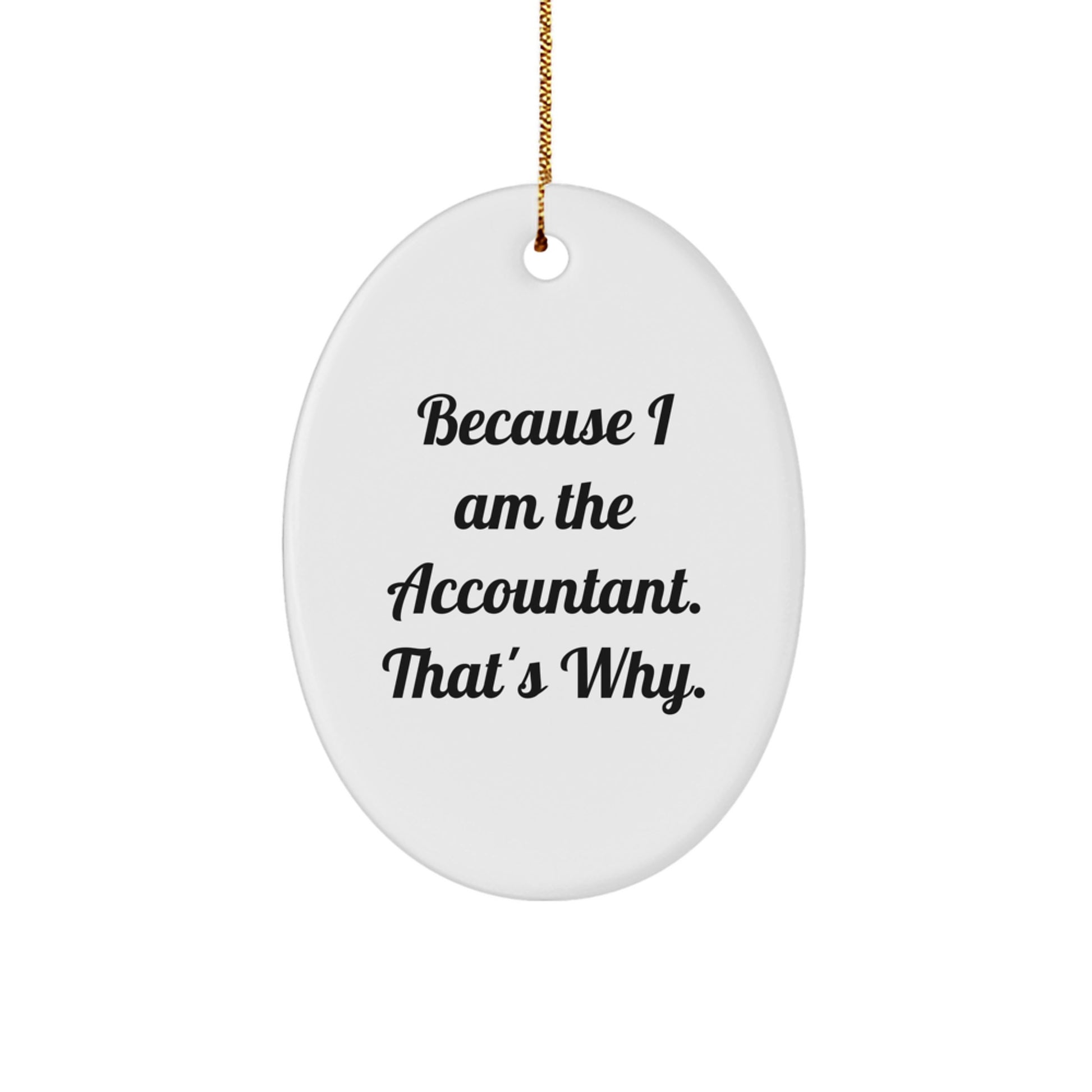 Christmas Gift for Her Accountant Oval Ornament Surprise Present - Image 1