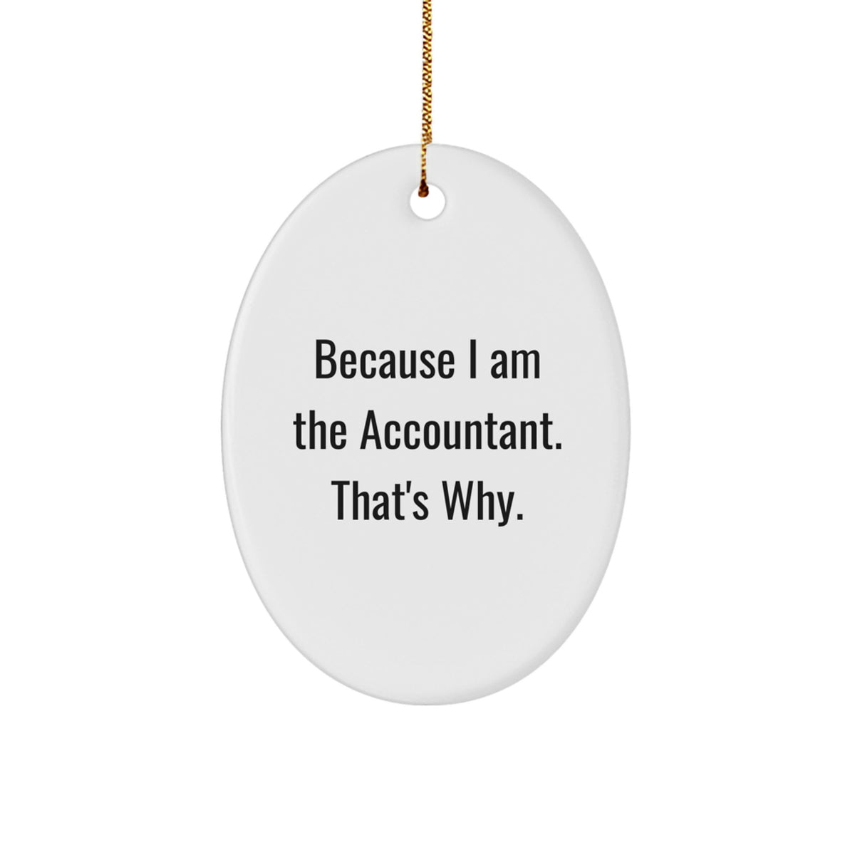 Accountant Keepsake Christmas Ornament for Him Gift Professional Pride - Image 1