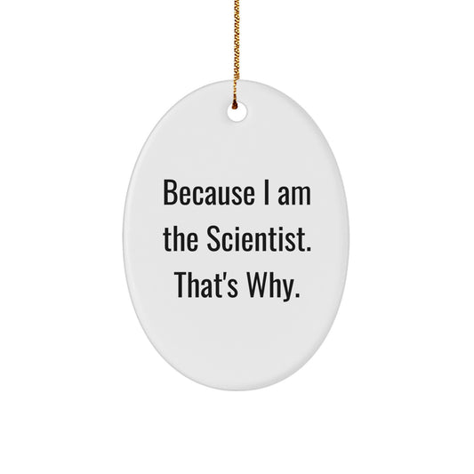 Christmas Gift for Her Scientist Oval Ornament Present - Image 1