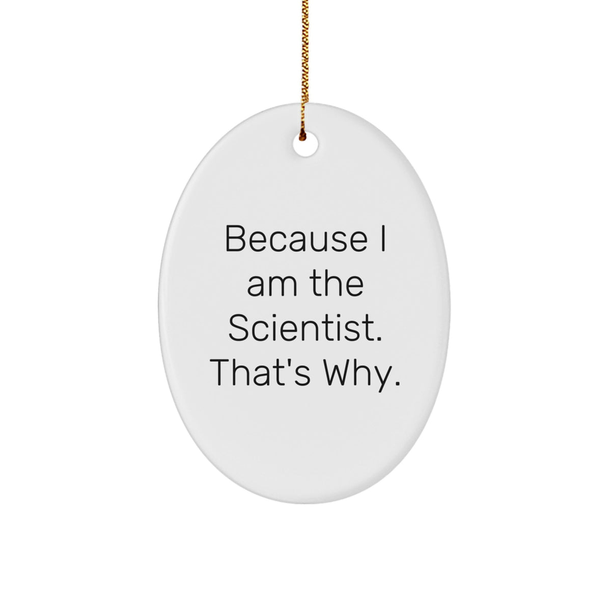 Scientist Oval Ornament Idea for Coworkers Christmas Gift - Image 1