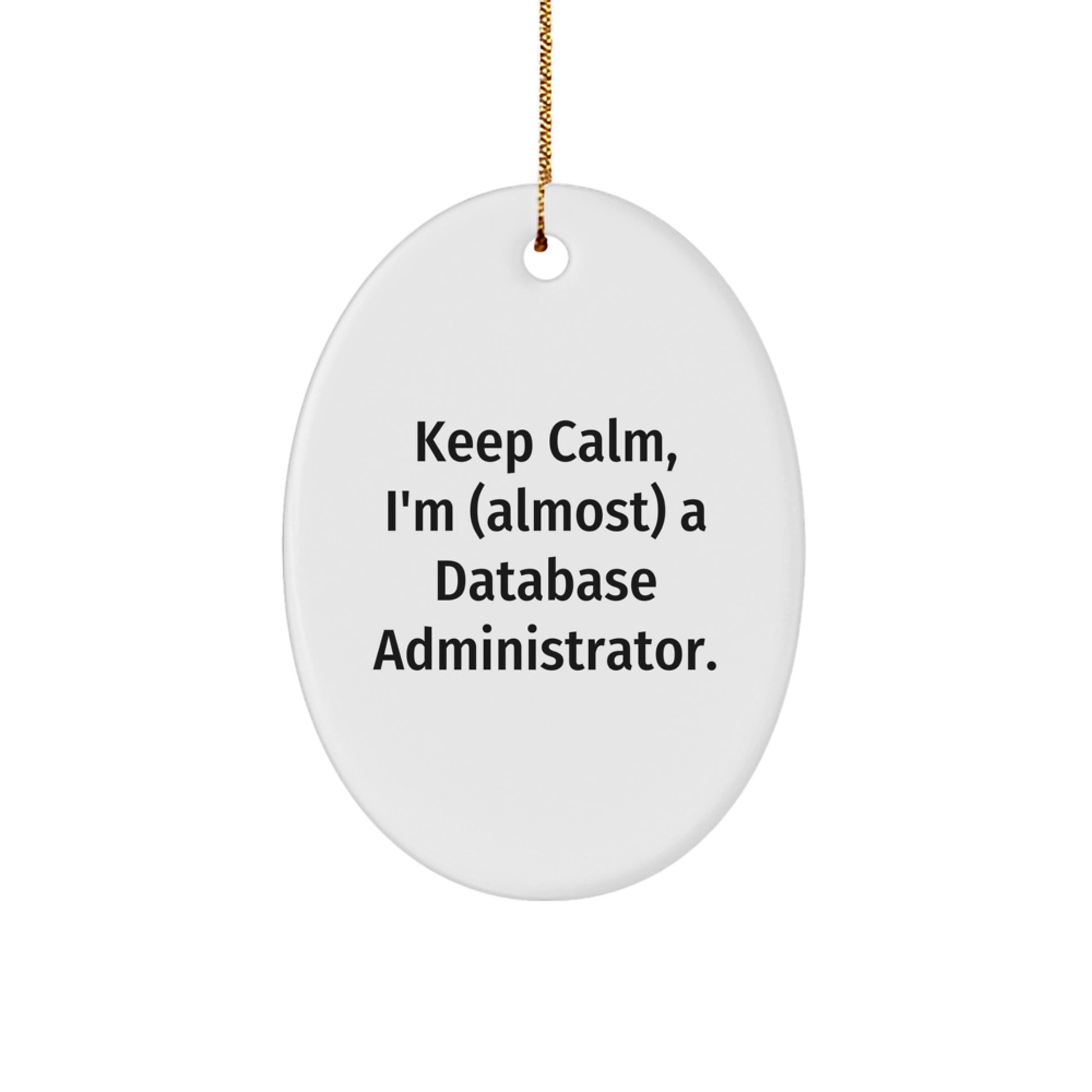 Favorite Database Administrator Oval Ornament for Kids Christmas Gift - Image 1