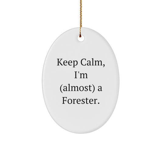 Funny Forester Gifts, Keep Calm, I'm (almost) A Forester. Oval Ornament, Christmas Unique Presents for Forester Friends, Gifts from Men - Image 1
