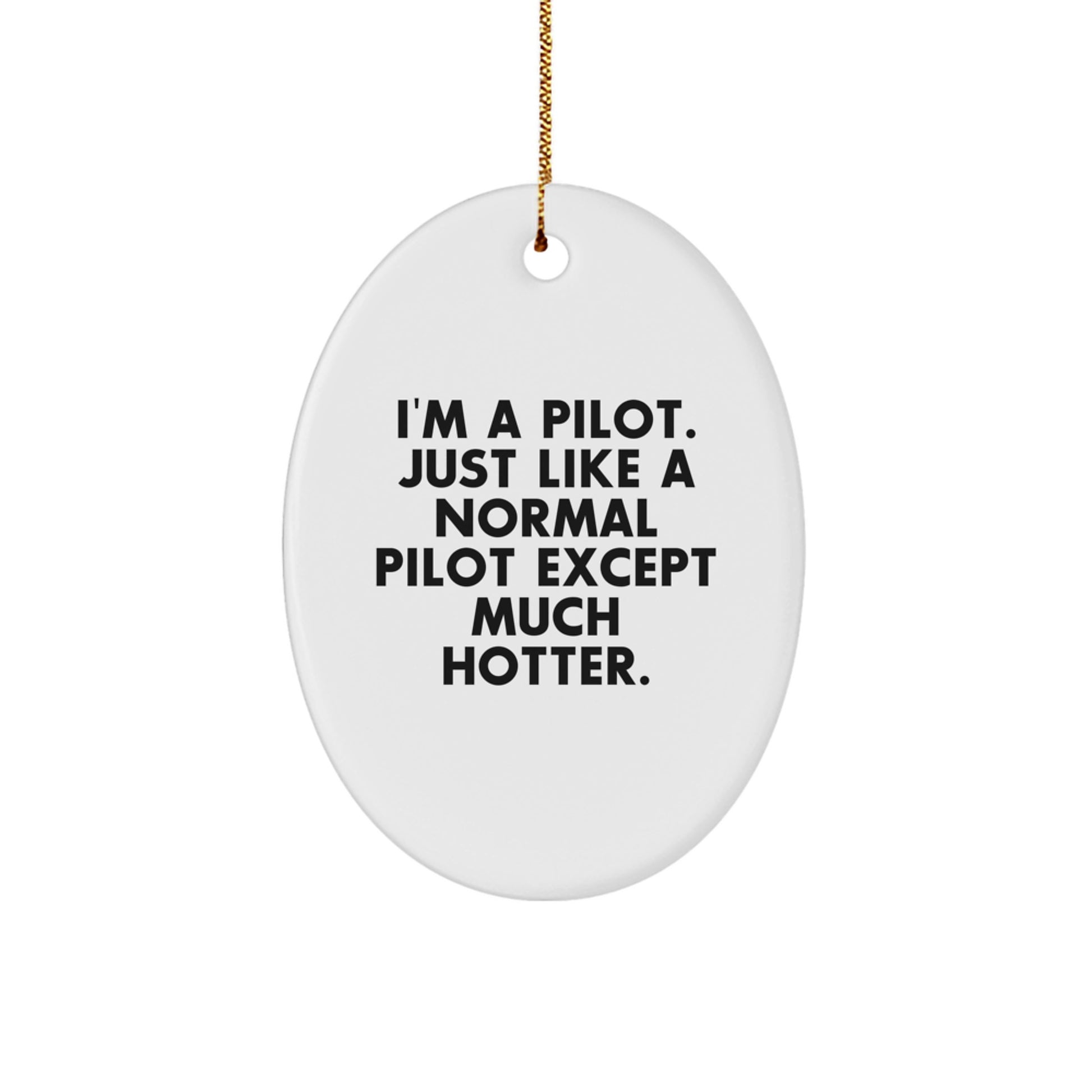 Funny Pilot Gifts for Men, Christmas Unique Oval Ornament - 'I'm A Pilot. Just Like A Normal Pilot Except Much Hotter.' - Image 1