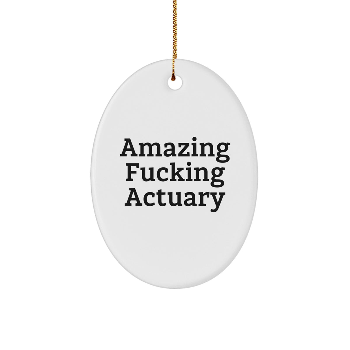 Christmas Gift Surprise Actuary Oval Ornament for Teens Amazing Actuary - Image 1