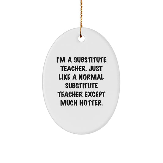 Funny Substitute Teacher Gifts from Friends - Christmas Unique Gifts for Substitute Teacher - Image 1