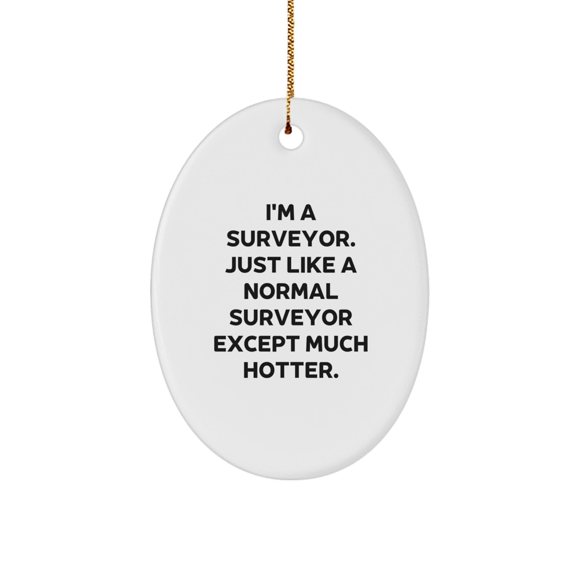 Surveyor Gifts from Friends, Christmas Unique Gifts for Surveyor, Oval Ornament with Funny Quote 'I'm A Surveyor. Just Like A Normal Surveyor Except Much Hotter.' - Image 1