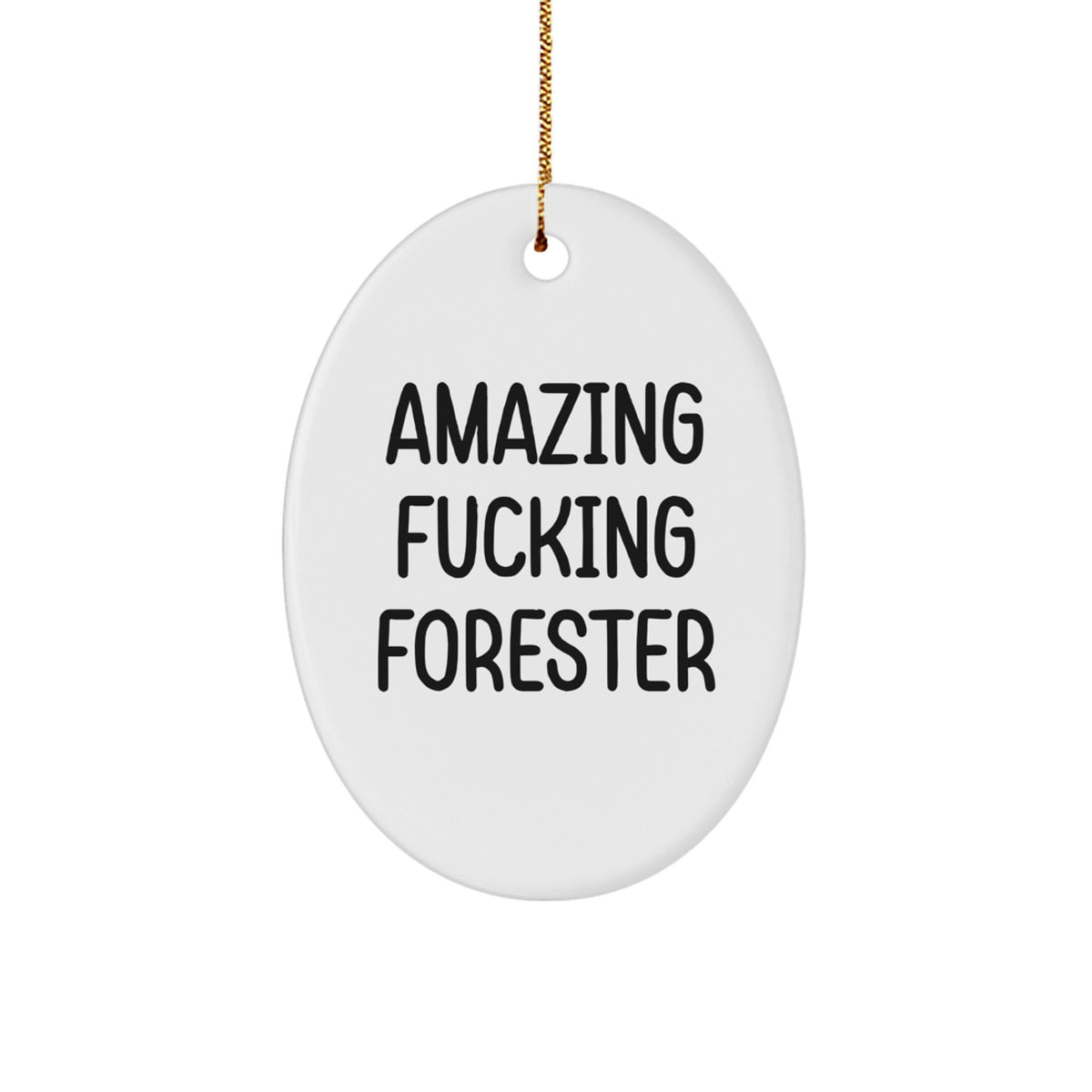 Forester Christmas Ornament Idea for Coworkers Holiday Keepsake Gift - Image 1