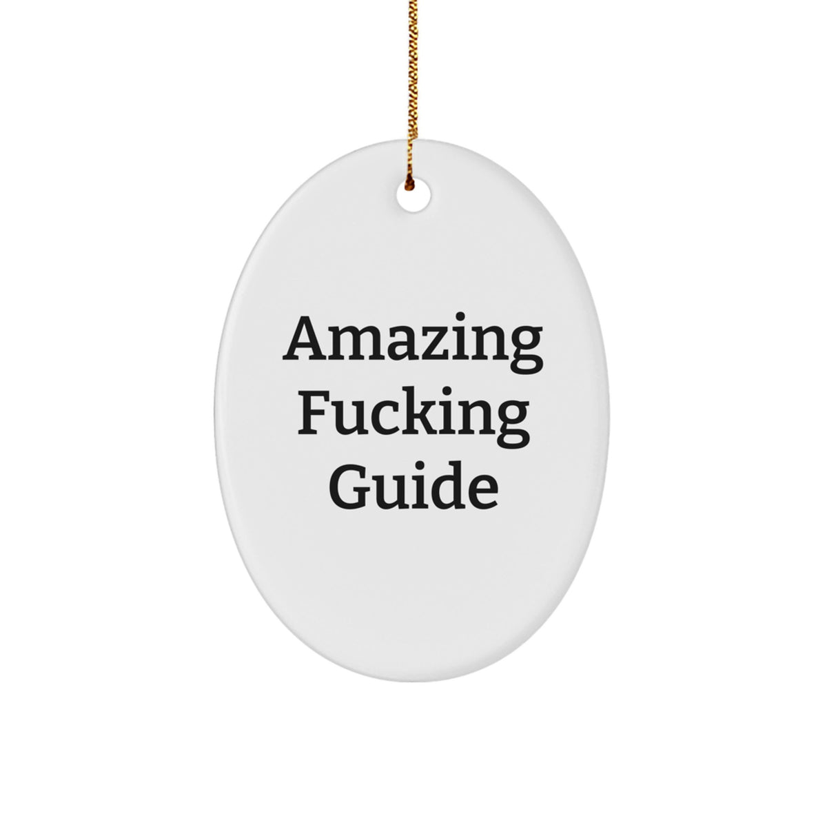 Guide Oval Christmas Ornament Gift for Him Amazing F--king Guide - Image 1