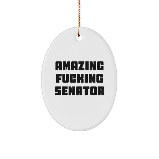 Senator Oval Ornament Keepsake Holiday Christmas Gift for Him Surprise - Image 1