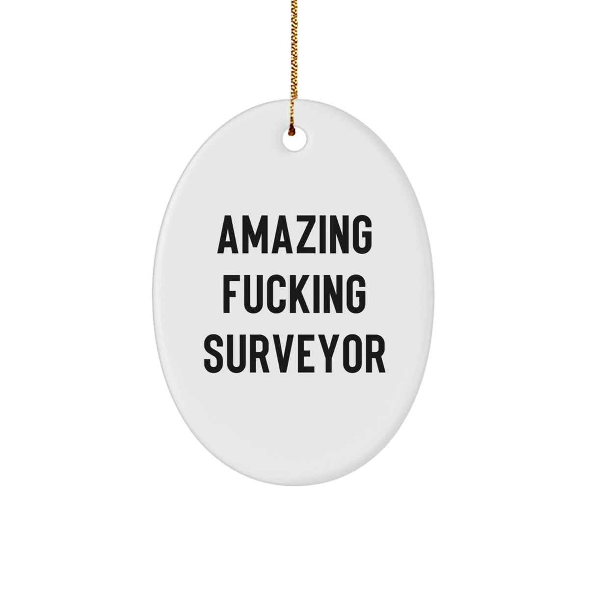 Amazing Fucking Surveyor Christmas Ornament Gift for Family - Holiday - Image 1