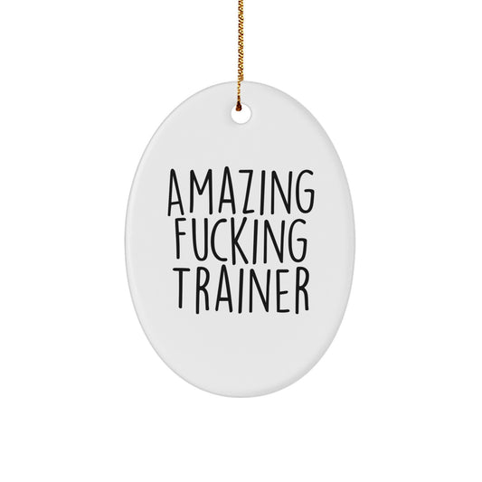 Favorite Christmas Ornament Gift for Kids - Amazing Fucking Trainer - Image 1