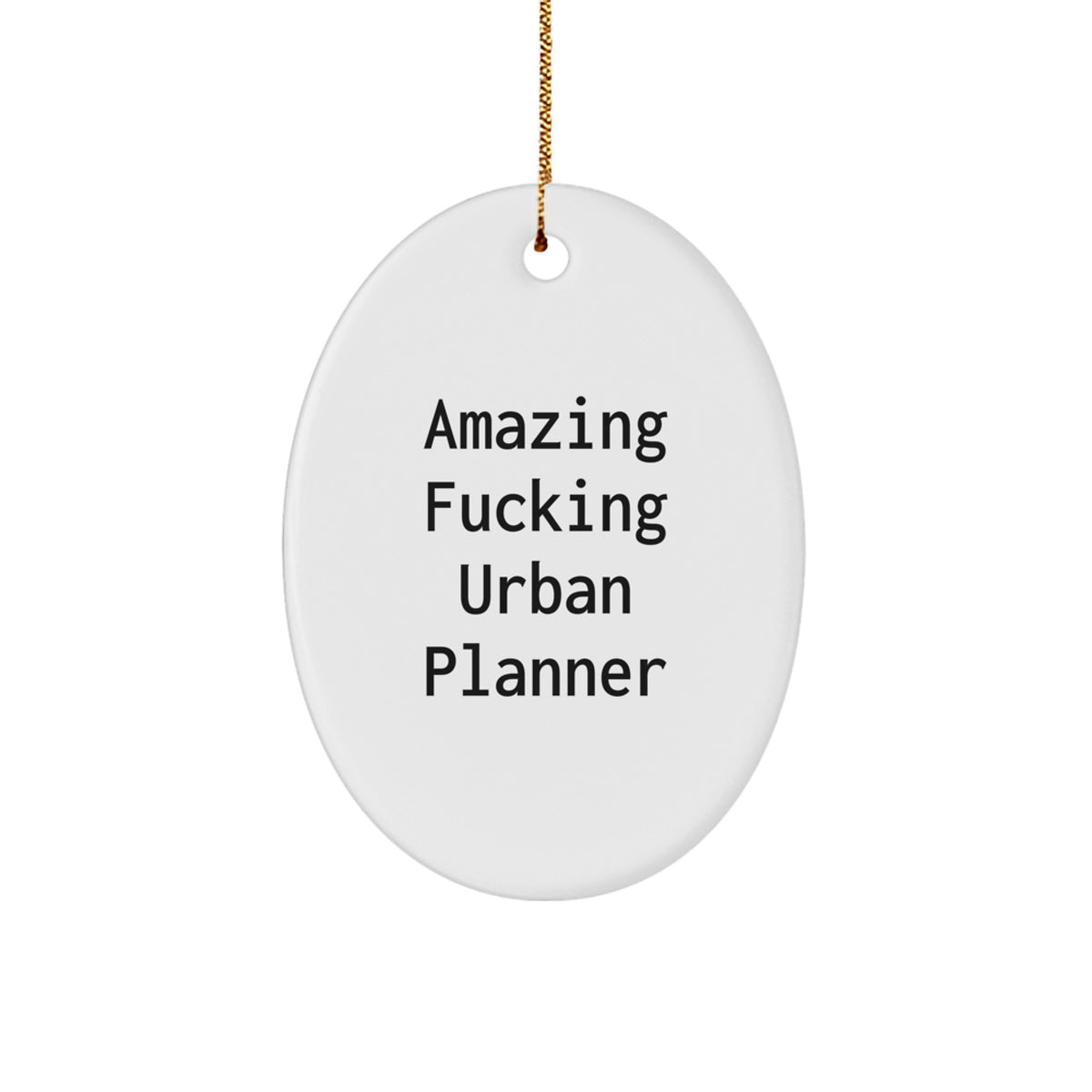 Urban Planner Oval Ornament Amazing Pro Christmas Gift for Her Present - Image 1