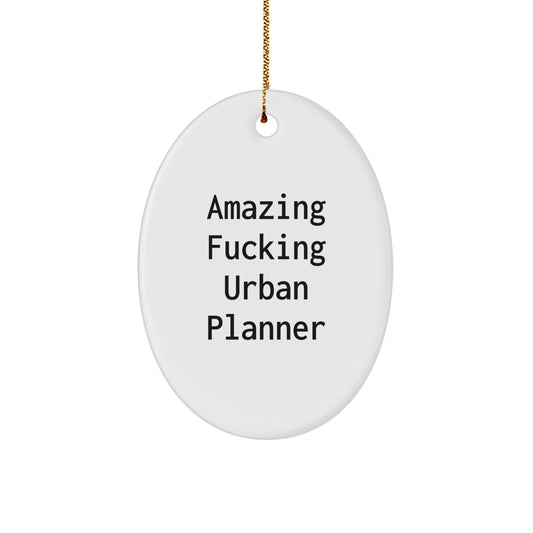 Urban Planner Oval Ornament Amazing Pro Christmas Gift for Her Present - Image 1
