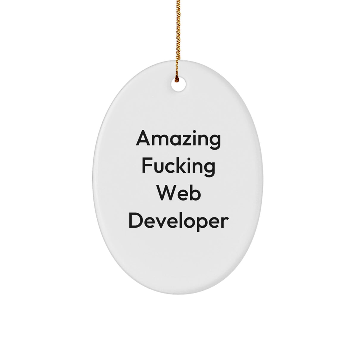 Web Developer Oval Ornament Christmas Unique Gift for Coworkers Idea - Image 1