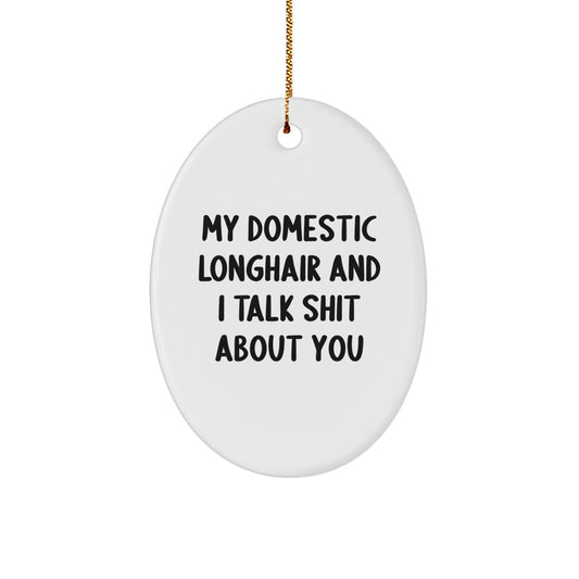 Funny Domestic Longhair Cat Gifts from Women for Men, Oval Ornament with 'My Domestic Longhair And I Talk Shit About You' Quote, Christmas Unique Gift - Image 1