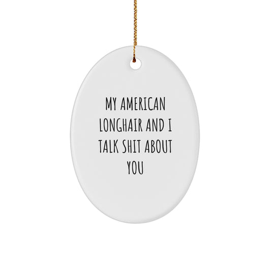 Funny American Longhair Cat Oval Ornament Gifts for Friends from Men, Cute Christmas Unique Presents for Women - Image 1