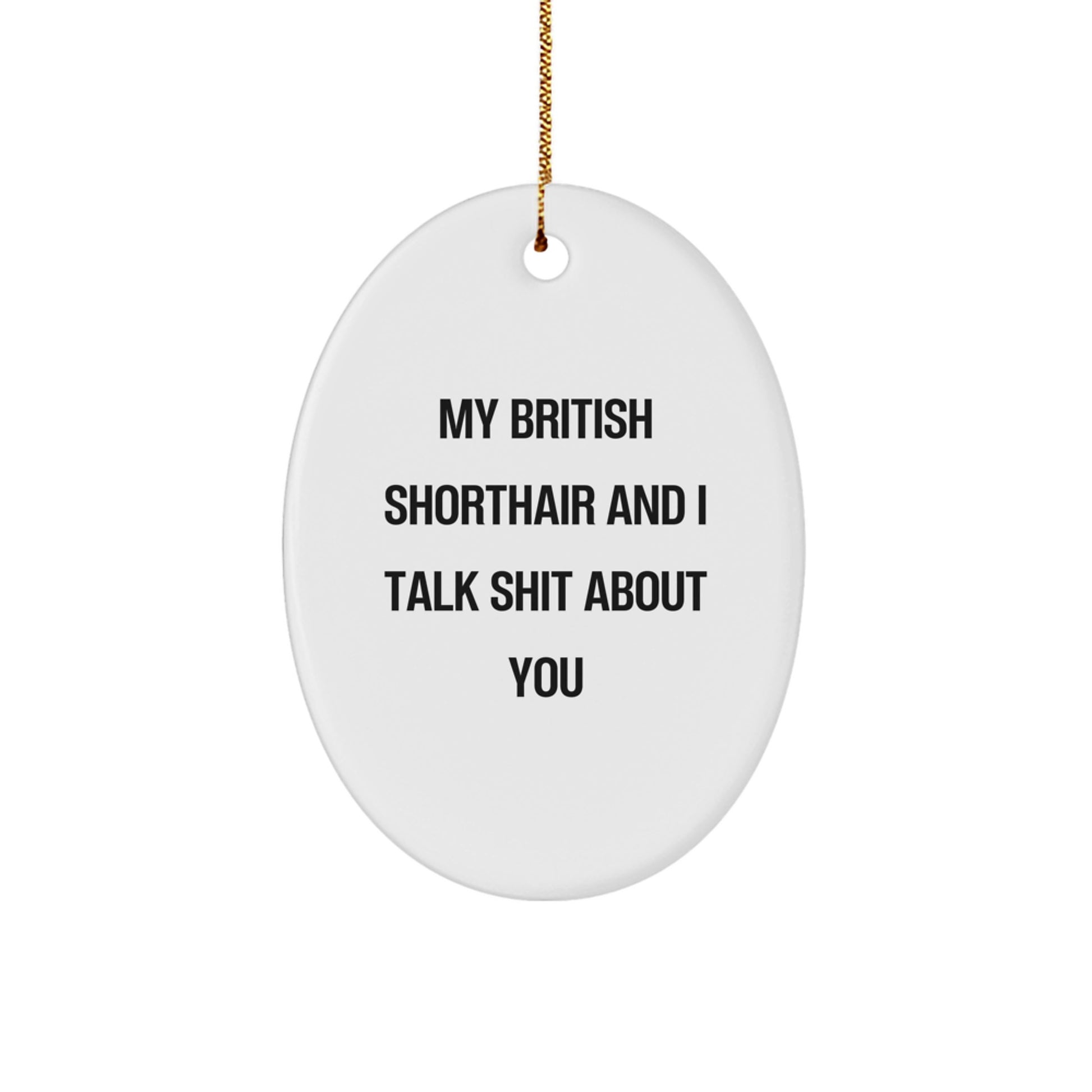 Funny British Shorthair Cat Oval Ornament for Christmas Unique Gifts from Friends and Family to British Shorthair Cat Lovers, My British Shorthair And I Talk Shit About You - Image 1